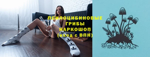 mdpv Елабуга