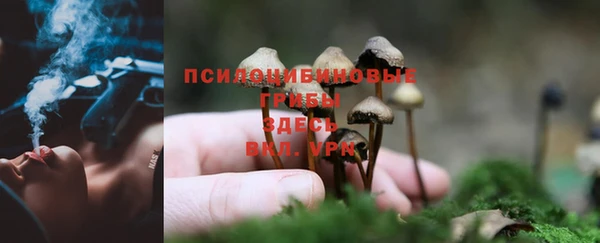 mdpv Елабуга