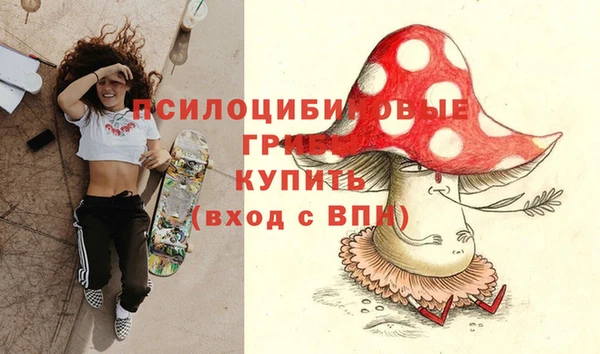 экстази Елизово