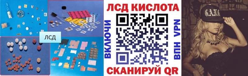 LSD-25 экстази ecstasy  Купить где  Кузнецк 